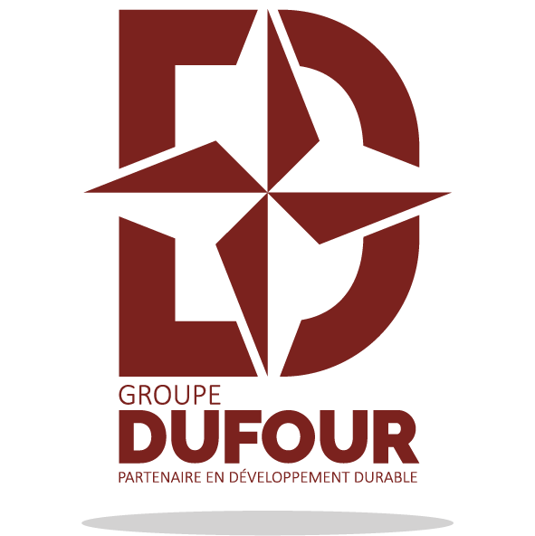 Dufour-tournai-logo