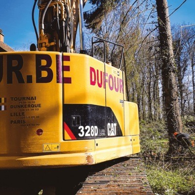 Abatage d'arbres à Froyennes