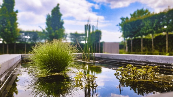 Parcs et Jardins
